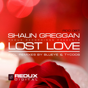 Lost Love (Original Mix)