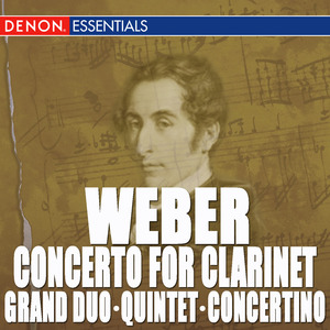 Concerto for Clarinet and Orchestra No. 1 in F Minor, Op. 73: II. Rondo, Allegretto