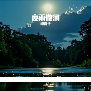 夜雨微澜