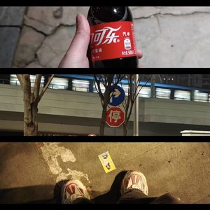 夜舞形质