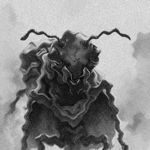 Vortex