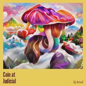 Coin at Judicial