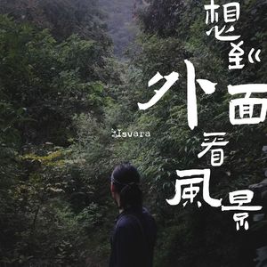 想到外面看风景 part 2. （freedom is not free）