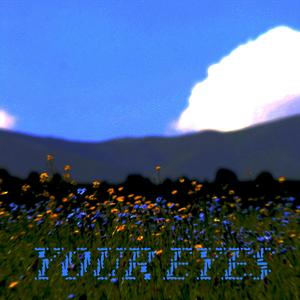 your eyes