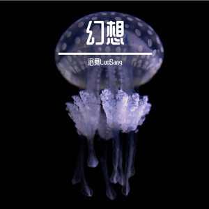 星尘概率论
