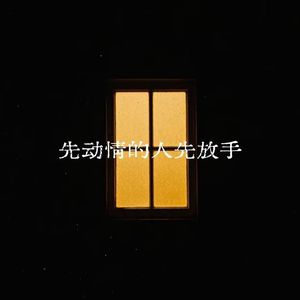 先动情的人先放手