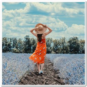 C大调月光下的壁炉夜曲