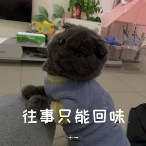 往事只能回味_144757_144802_track0_144802