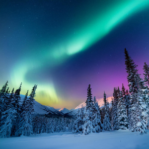 Serenas Melodías Del Anochecer