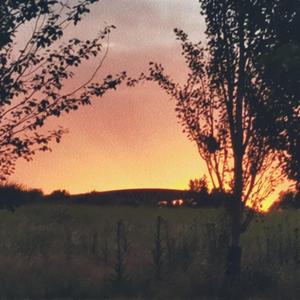 Salir (feat. Splinter)