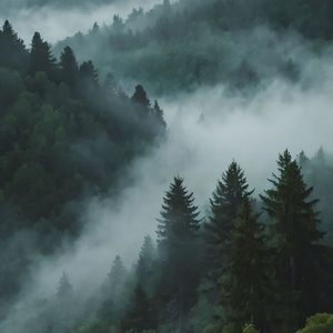 Cloud and Fog（云和雾）