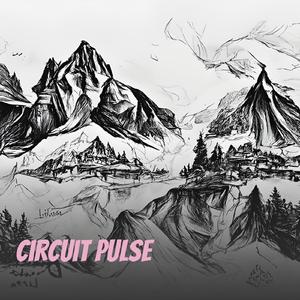 Circuit Pulse