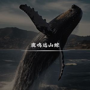 鹿鸣远山鲸