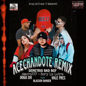 Acechandote (Remix)