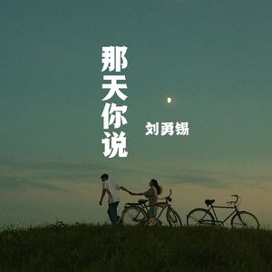 那天你说