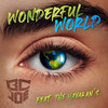 BcJoe - Wonderful World