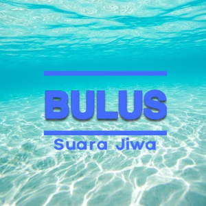 Bulus