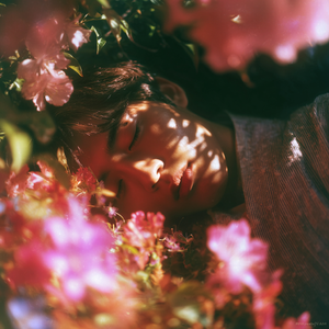 春霞、桜舞い（春霭樱翩）