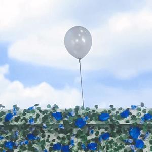 Blueming 日语版（翻自 IU）