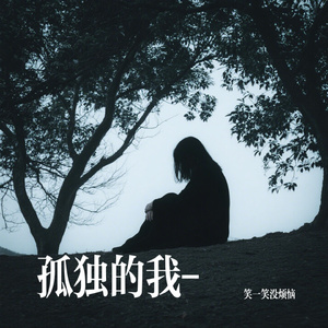 孤独的我-