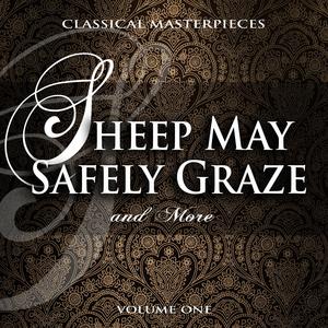 Hunting Cantatam, BWV 208: IV. Sheep May Safely Graze