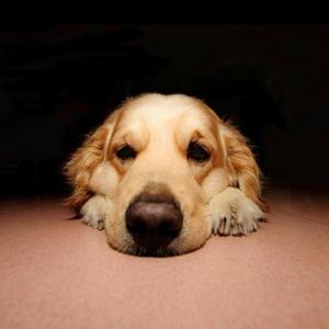 当梦想患了病（prod by Red killer）