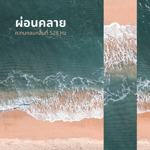 การสะท้อนแห่งแสงจันทร์