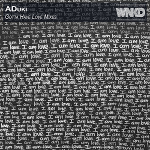 Gotta Have Love (Original Mix)