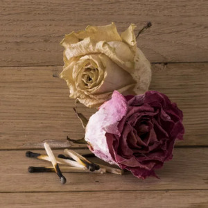 Kovalıyor Dünlerimiz