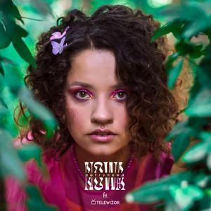 Zaczynamy Zabawę (feat. Telewizor)