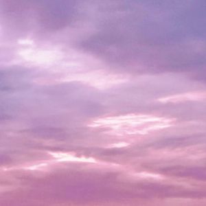 la vie en rose（prod by undislove）