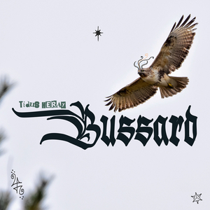 Bussard