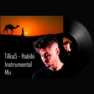 Habibi (Instrumental Mix)