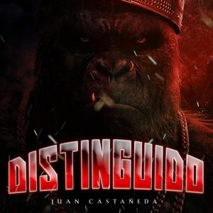 DISTINGUIDO