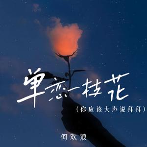 单恋一枝花 (你应该大声说拜拜)