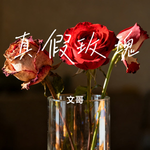 真假玫瑰