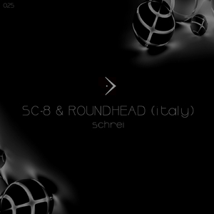 Schrei (Original Mix)