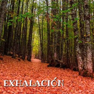 Exhalación