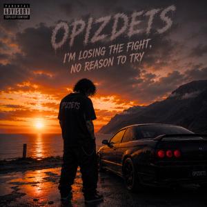 I'm losing the fight, no reason to try