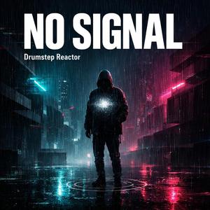 No Signal