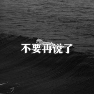 不要再说了