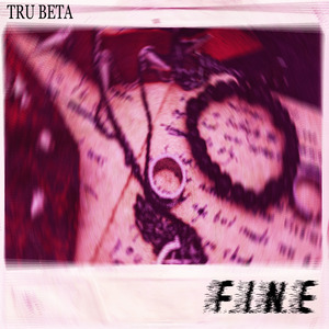 F.I.N.E