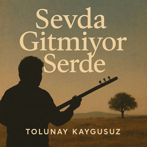 Sevda Gitmiyor Serde