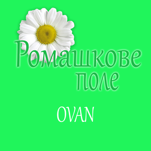 Ромашкове поле