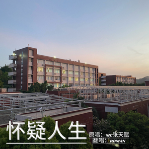怀疑人生