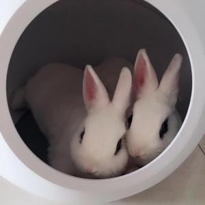 又是一年中秋夜（完美伴奏）