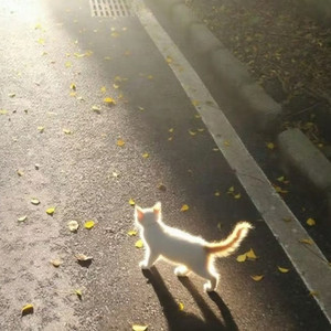 一个人的圆满（cover）