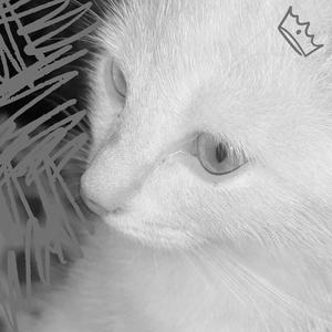 The Way You Loved Me