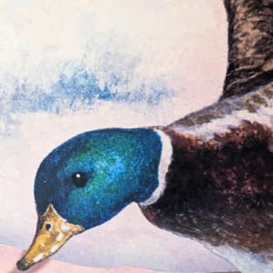 2025 05 24 (around 1AM)