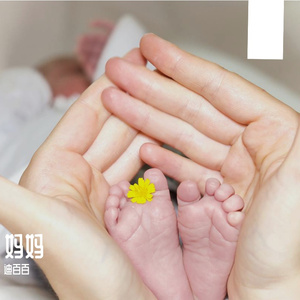 千の風になって(千风之歌)